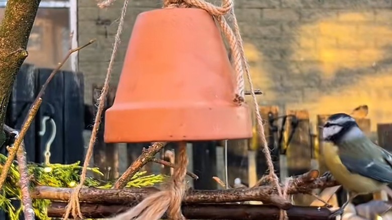DIY bird feeder pot hanging from tree