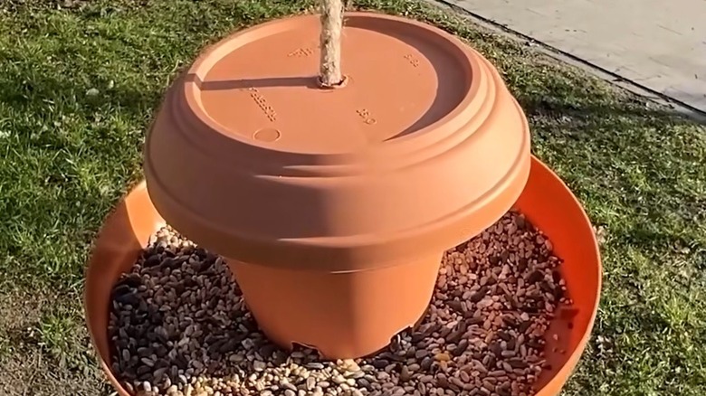 Bird feeder made from plastic pot and saucers