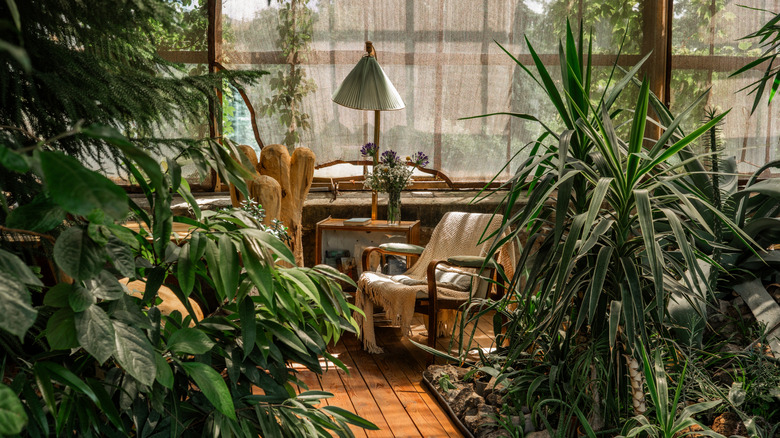 A reading nook framed by tropical plants