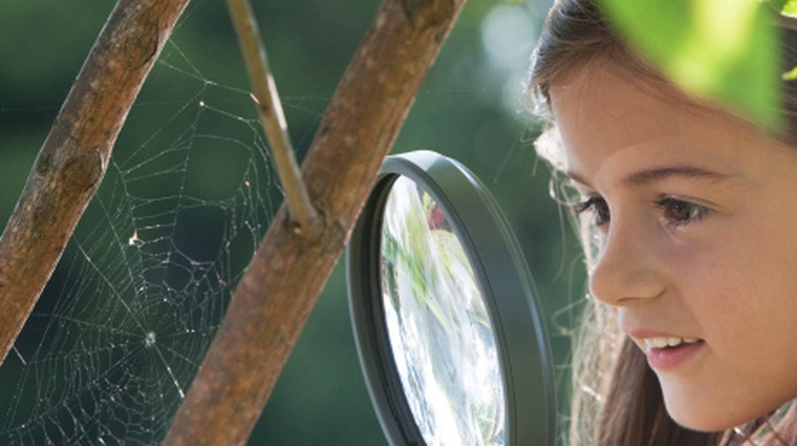 Orb-Weaver Spider Webs Look Different: Here's How To Identify One In Your Home Or Yard