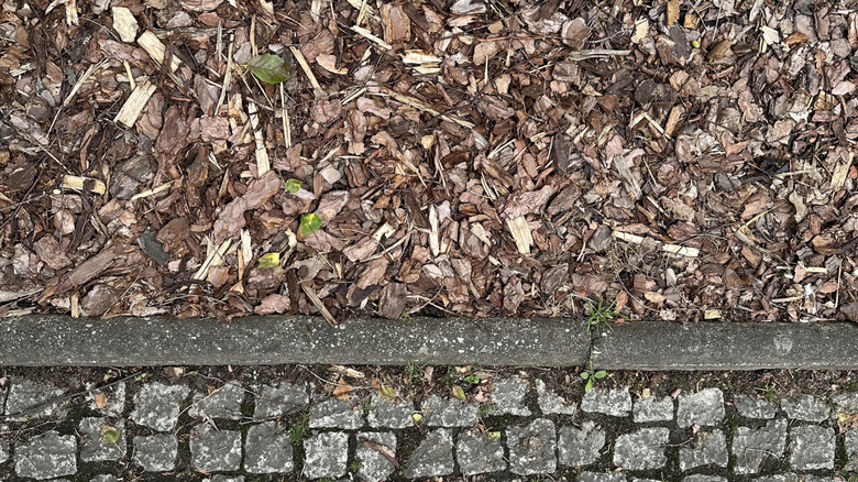Wood chip driveway by a cobblestone walkway
