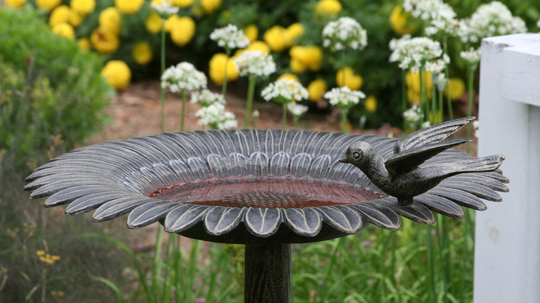 Cast iron birdbath in flower shape sitting in a garden