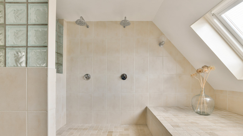 shower with glass blocks on the upper half of the wall