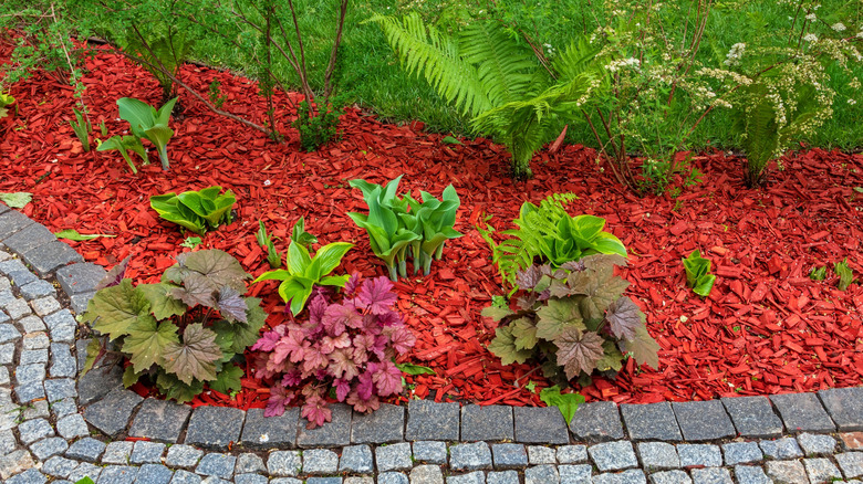 Garden bed with bright red mulch