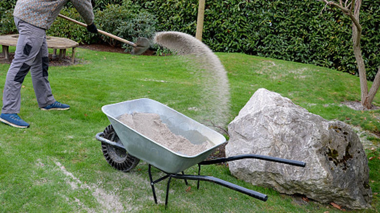 A person dumps sand from a wheelbarrow onto a grassy lawn with a shovel