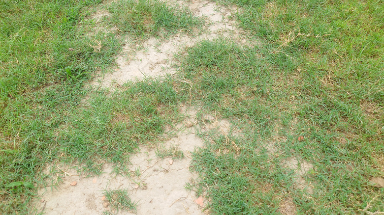 People Are Using Sand To Transform Their Lawns — Here's How