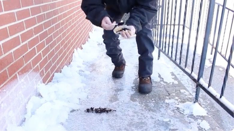 Man putting coffee grounds on ice