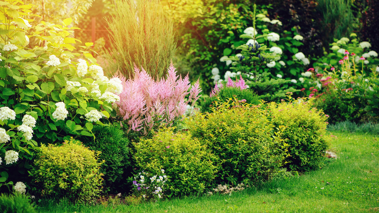 A colorful perennial garden with a variety of flowering plants.