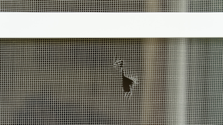 A tear in a window screen