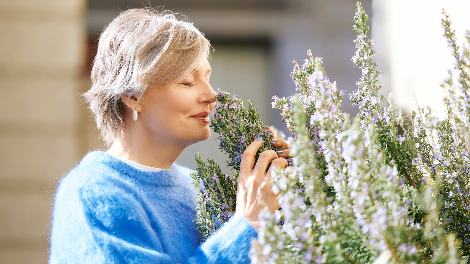Plant These 9 Perennials Before July Ends And Thank Us Later