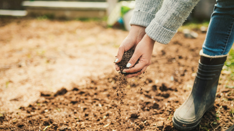 A gardener holds soil in their hands