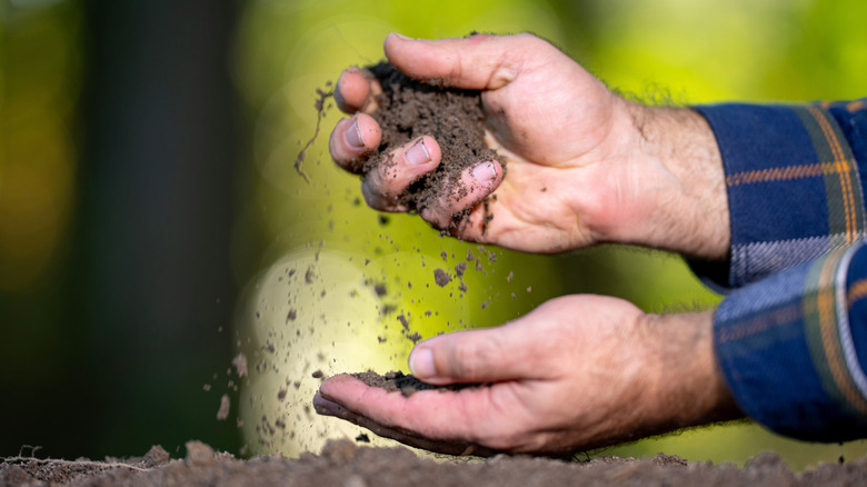 Person crumbling garden soil in their hands