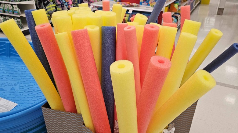 colorful pool noodles in a retail display