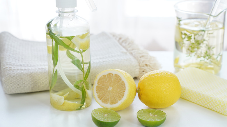 lemon and vinegar cleaner in spray bottle