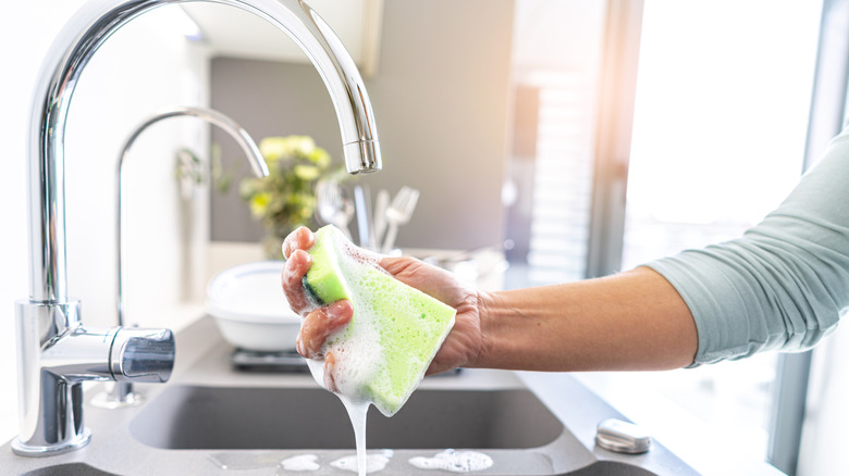 hand holding wet soapy sponge under faucet