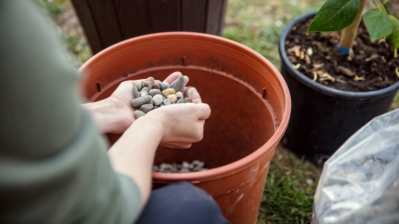 A woman puts a gravel mixture inside a potted plant