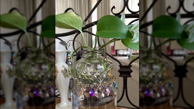 Old lemonade jar repurposed as plant propagation and draped with crystal and beaded chain