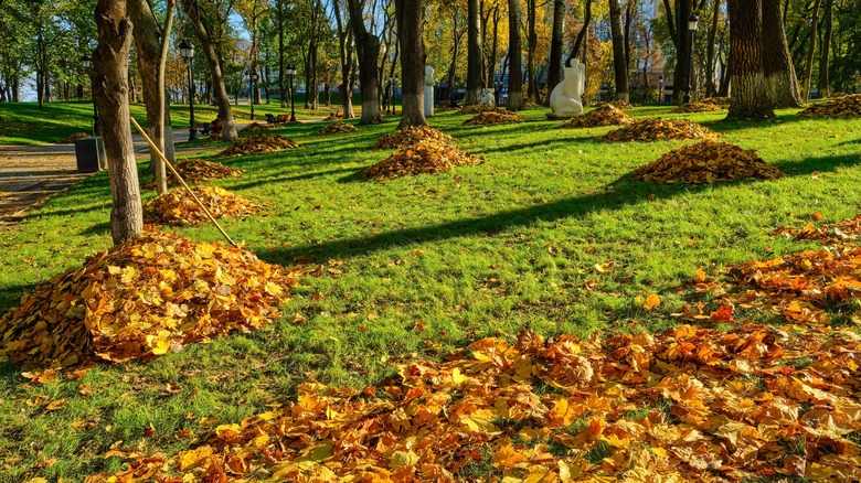 leaves piled up using in the grid method