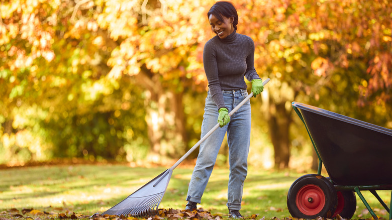 Woman raking leaves next to a wheelbarrow
