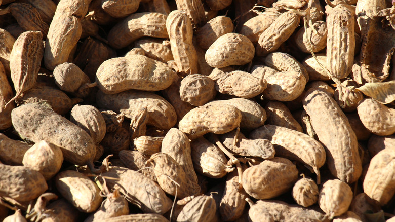 A collection of dried peanut shells