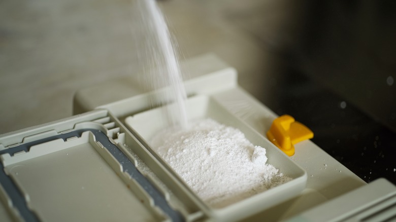 Pouring powder detergent into dishwasher