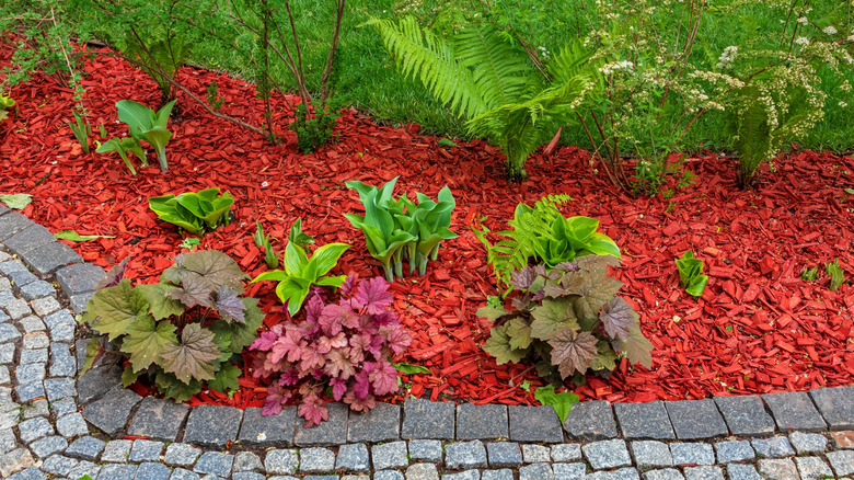 garden bed with vibrant red mulch in it