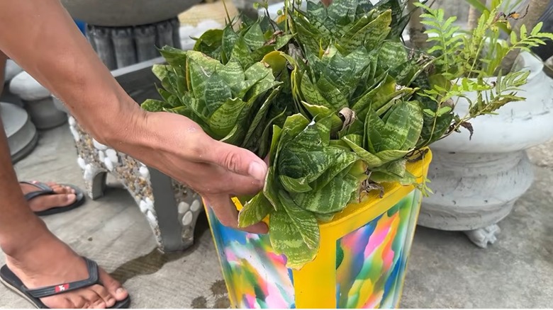 Refresh Your Backyard On A Budget With An Old Laundry Hamper And Cement