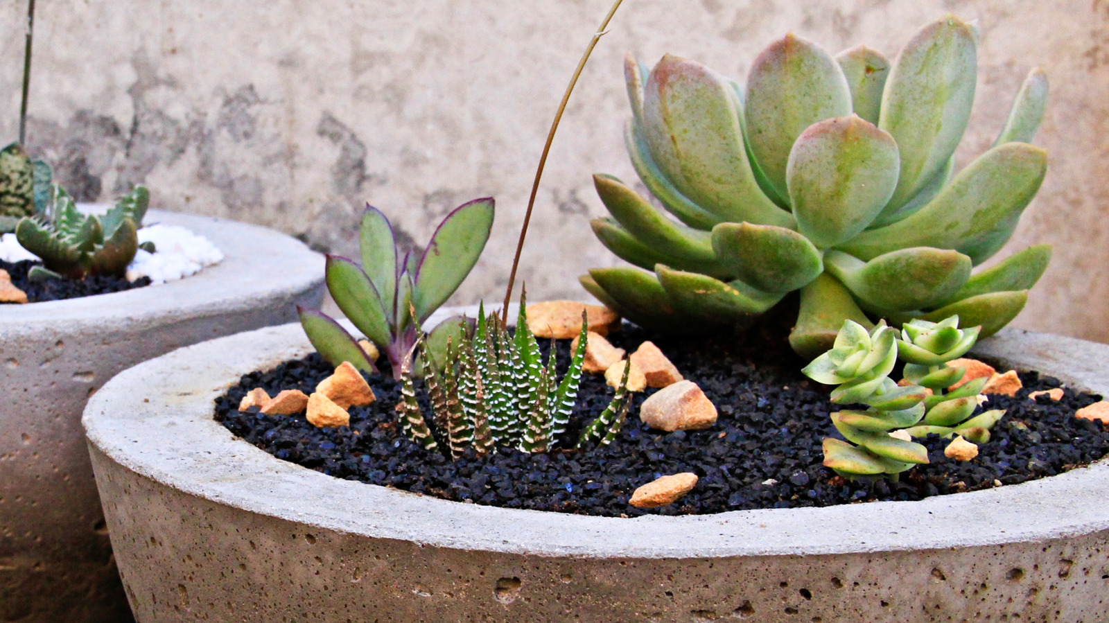 Refresh Your Backyard On A Budget With An Old Laundry Hamper And Cement