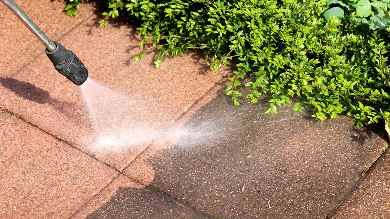 A high powered stream of water hits stone pavers along a garden path.