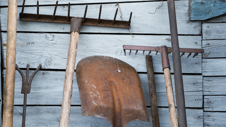 Rusty tools leaning against a wooden shed
