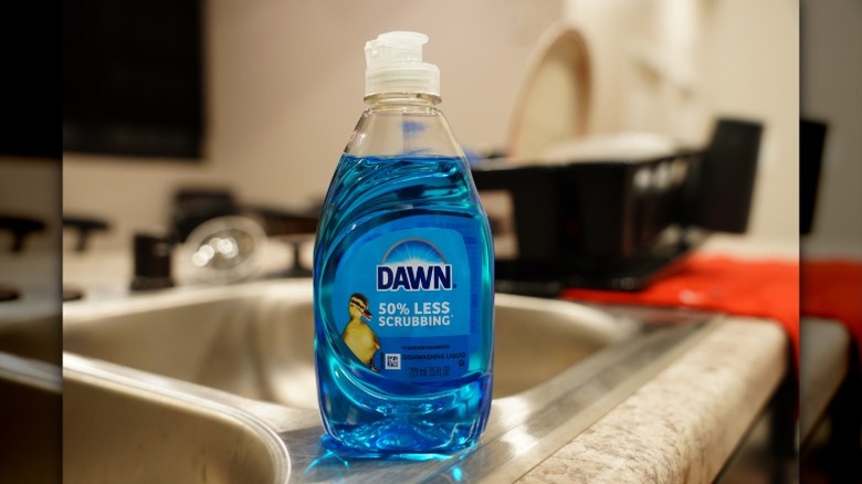 Bottle of Dawn dishwashing liquid on a sink