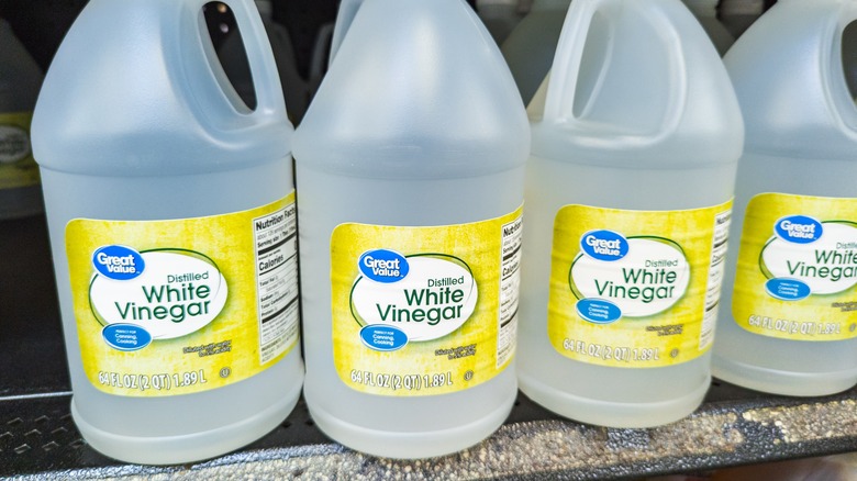 bottles of white vinegar on store shelf