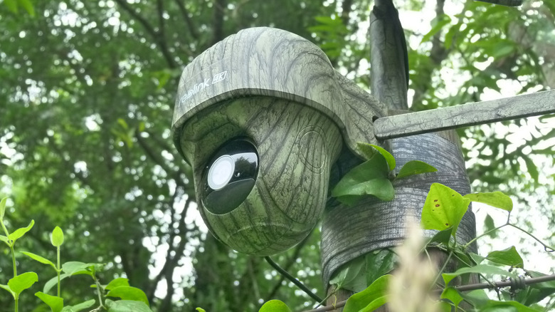 Camo Reolink Go Ranger PT