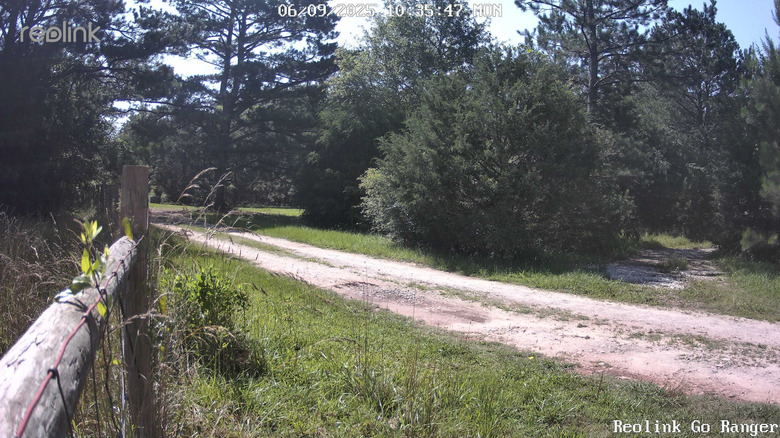 An image from the Go Ranger PT, mounted to a roadside fence post