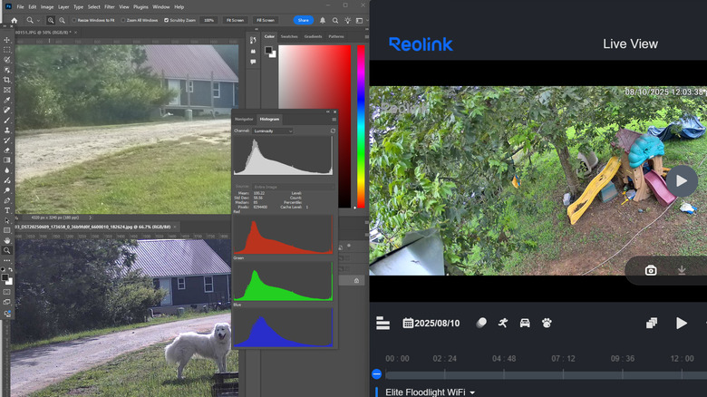 Comparing Go Ranger PT image with HDR camera image and live view from another Reolink camera