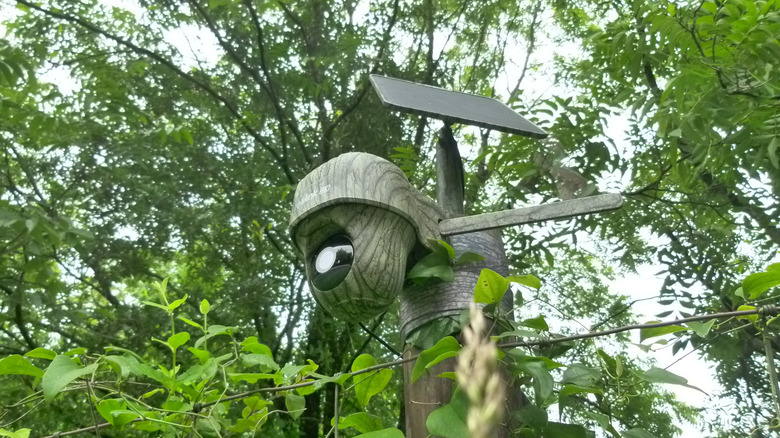 Reolink Go Ranger PT mounted to a fence post