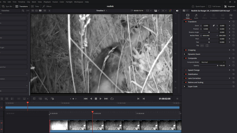 Examining a video of a fox in a field, as captured by the Go Ranger PT