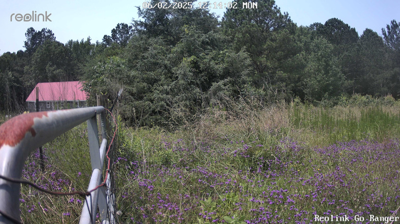 An image from the Go Ranger PT's second mounting lcoation