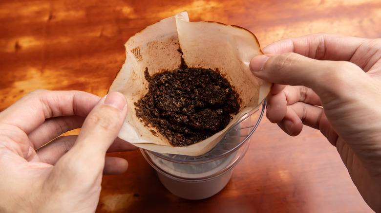 Person holding a coffee dripper with used grounds in it