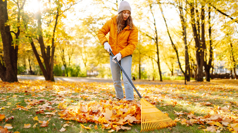 Woman raking up leaves