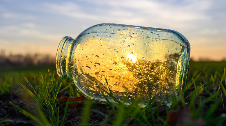 An empty jar outside in the grass with the sun shining through it