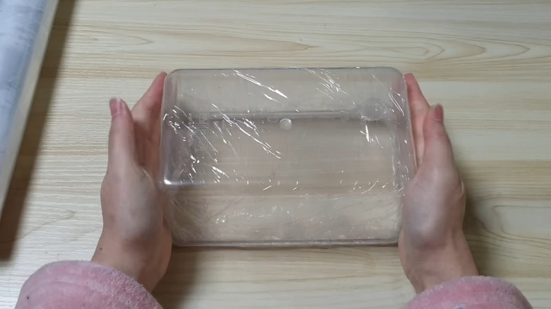 Woman plastic container with plastic wrap for DIY