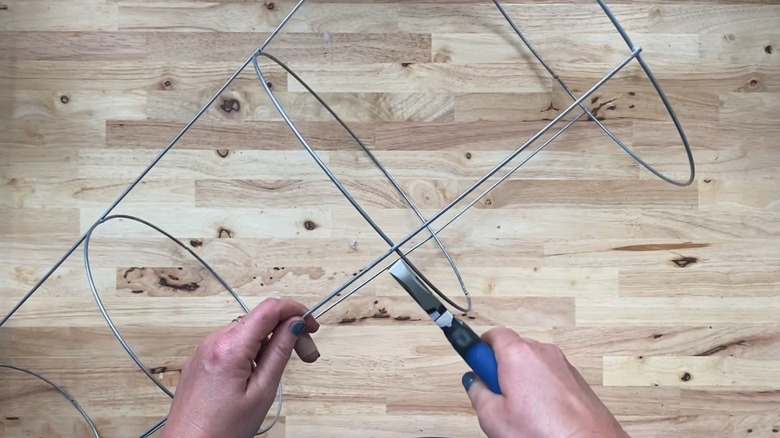 A person cuts into a tomato cage