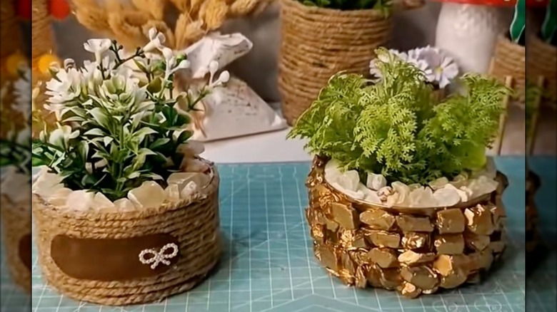 Tuna fish can upcycled into luxurious crystal plant decor
