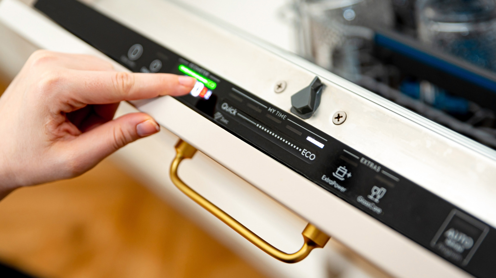 Reset Procedures For The Fisher & Paykel Dishwasher
