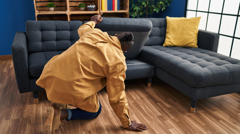 Person looking under couch cushions