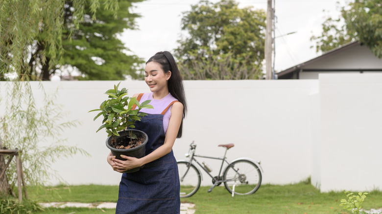 Woman holding a planter with an avocado tree in her garden