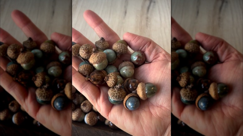 A hand full of colorful marbles with acorn tops glued onto them