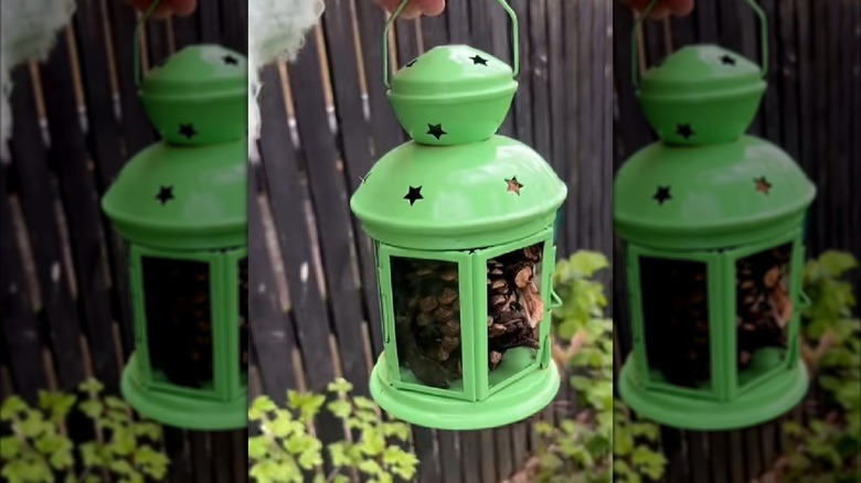 Old lantern turned into DIY bug house
