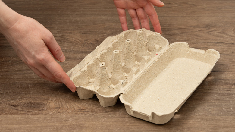 person holding empty egg carton on wood surface
